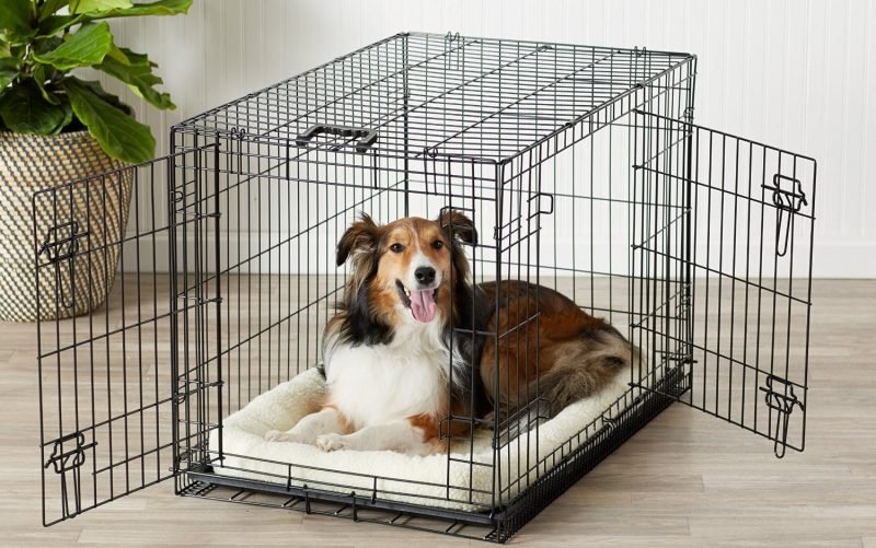 dog-kennel-transportín