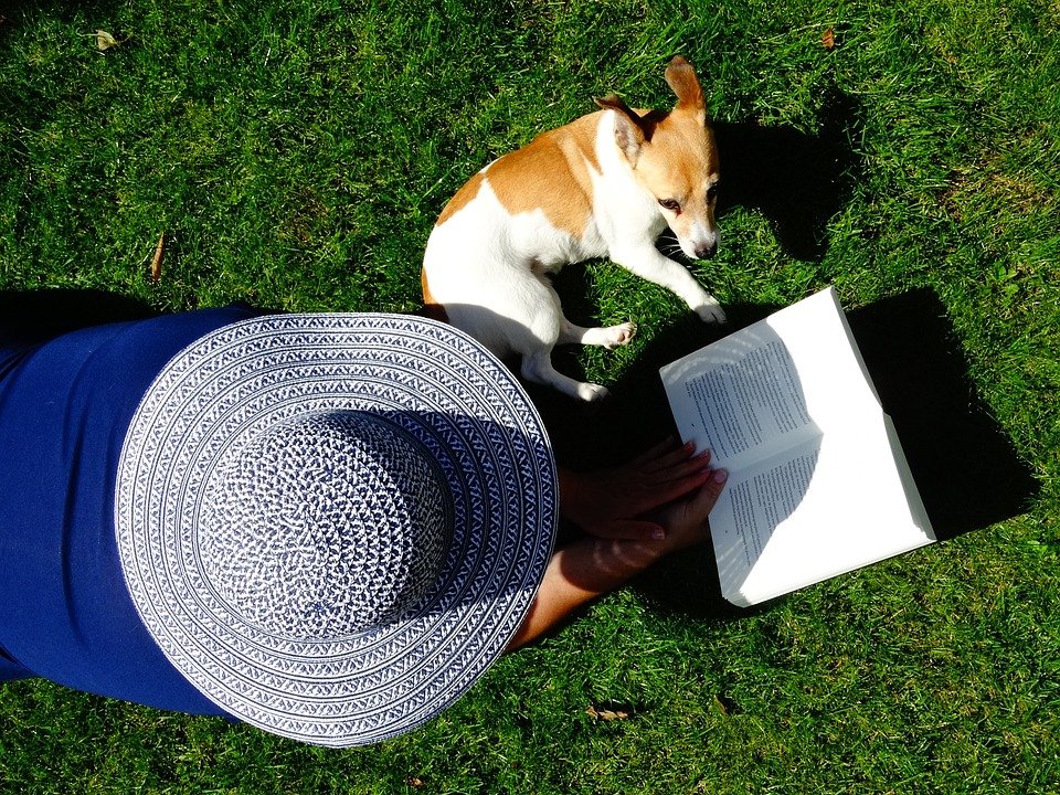 Novelas de perros: 18 libros con protagonista canino