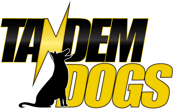 Nuestra nueva imagen Tandem Dogs