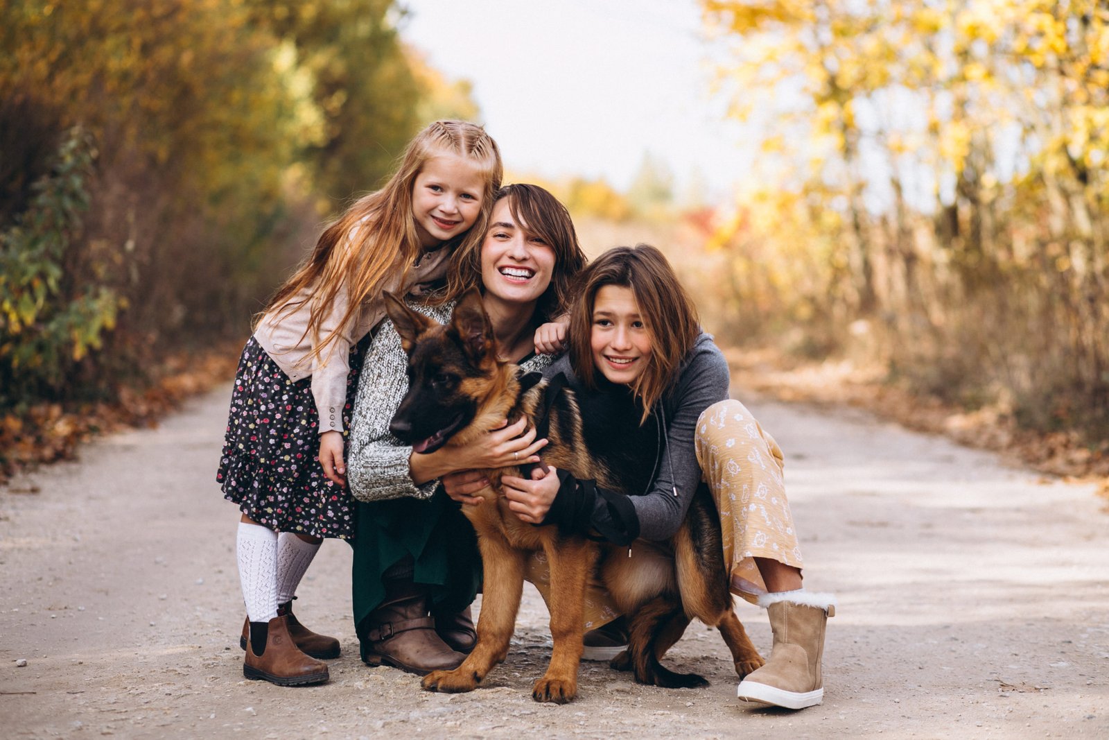 consulta caninas Integracion del perro en casa