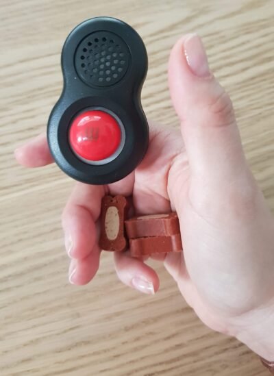 El timing es muy importante cuando adiestramos los perros con el clicker El timing es muy importante cuando adiestramos los perros con el clicker
